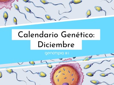 calendario diciembre 2022