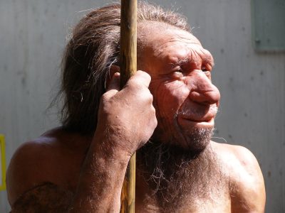 Representación de un neandertal en el Neanderthal Museum (Alemania).