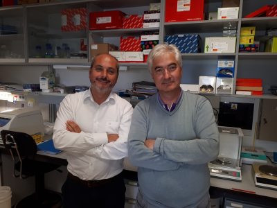 Alberto Ocaña y Atanasio Pandiella, investigadores del CIBERONC y coordinadores del estudio. Imagen: CIBERONC.