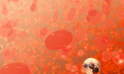 Las transfusiones de sangre no serían posibles si no se conocieran los grupos sanguíneos y las diferentes compatibilidades que hay entre los mismos. Imagen: National Institute of Health, CC BY NC 2.0 https://creativecommons.org/licenses/by-nc/2.0/.