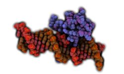 MECP2 interaccionando con el ADN. Imagen: Protein Data Base- 3C2I, visualizada con QuteMol (http://qutemol.sourceforge.net).