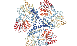 Estructura aminoterminal de la proteína huntingtina. Imagen: Protein database 3IOU. NGL viewer.