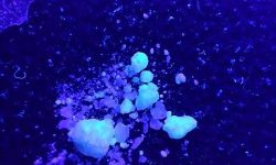 Cristales de cocaína expuestos a luz ultravioleta. El consumo repetido de esta droga puede llevar a la adicción a la misma.