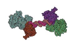 Fragmento de la proteína B. Imagen: Protein Data Base- 4OPX, visualizada con QuteMol (http://qutemol.sourceforge.net).