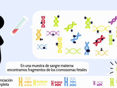 Diagnóstico prenatal no invasivo. cfDNA