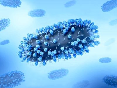 Ilustración representativa del Virus Respiratorio Sincitial, virus contagioso común que infecta las vías respiratorias humanas. Imagen: Instituto Nacional de Alergias y Enfermedades Infecciosas, NIAID.