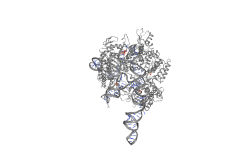 Estructura molecular de CRISPR. Imagen: Protein Data Base 5F9R. Visualizada con NGL viewer.