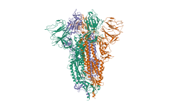 Estructura de la proteína S de SARS-CoV-2. Imagen: Protein Database.