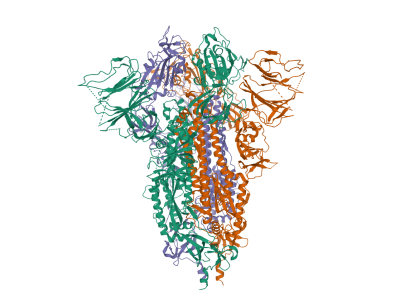 Estructura de la proteína S de SARS-CoV-2. Imagen: Protein Database.