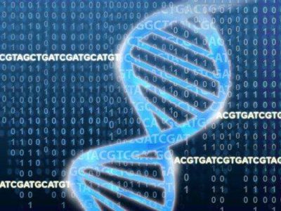 Imagen: National Human Genome Research Institute