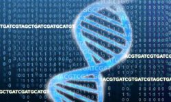 Imagen: National Human Genome Research Institute