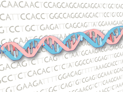 los investigadores estudiaron el genoma de 288 personas con síndrome de Down, así como la expresión génica en fibroblastos de la piel de algunas de ellas.