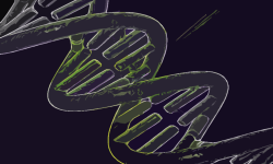 El genoma oscuro, o región del genoma que no contiene genes codificantes, esconde importante información genética. Imagen: Andrea Laurel (CC BY 2.0, https://creativecommons.org/licenses/by/2.0/).