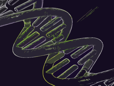 El genoma oscuro, o región del genoma que no contiene genes codificantes, esconde importante información genética. Imagen: Andrea Laurel (CC BY 2.0, https://creativecommons.org/licenses/by/2.0/).