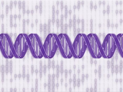 ADN-binario.jpg