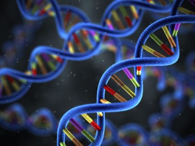 El análisis de los genomas de Kathleen Folbigg y sus hijos reveló posible causas genéticas para la muerte prematura. Imagen: Getty Images vía Canva.