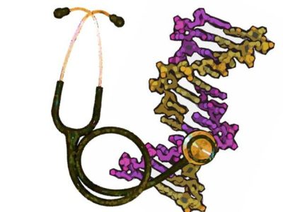 Los investigadores han analizado la presencia de mutaciones de novo en diferentes elementos reguladores de la expresión génica. Imagen: Medigene Press S.L.