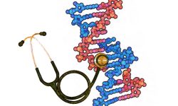 aunque en algunos casos la información genómica puede mejorar el cuidado de la salud, los resultados del trabajo no apoyan la incorporación de la secuenciación del genoma en la atención médica primaria como algo rutinario.