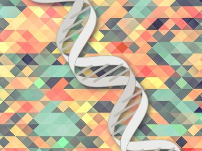 Las mutaciones mosaico hacen referencia a aquellos cambios en el ADN que se producen de forma temprana en el desarrollo embrionario y afectan únicamente a una proporción de células del individuo, derivadas de la célula donde se produjo el cambio genético. Dos de los estudios evalúan el papel de estas mutaciones en el desarrollo de TEA. Imagen: Genotipia.