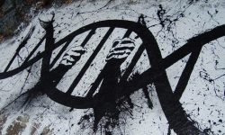 adn-prison