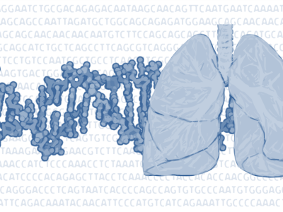 Imagen derivada de imagen de pulmones de Patrick J. Lynch, medical illustrator; C. Carl Jaffe, MD, cardiologist. https://creativecommons.org/licenses/by/2.5/.