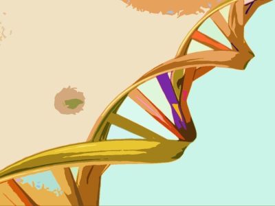 La interpretación de los datos genómicos humanos representa uno de los principales retos a solucionar para poder incorporar de forma definitiva la información genómica en la práctica clínica. Imagen: National Human Genome Research Institute.