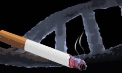 adn-y-tabaco