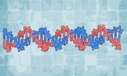 han  aprovechado la propiedad programable del ADN, que puede ser sintetizado con cualquier  secuencia de nucleótidos.