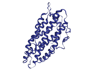 Estructura molecular de APOE3, versión más frecuente de APOE que no modifica el riesgo a desarrollar enfermedad de Alzheimer. Imagen: Protein Data Bank, visualizada con NGL viewer. https://www.rcsb.org.