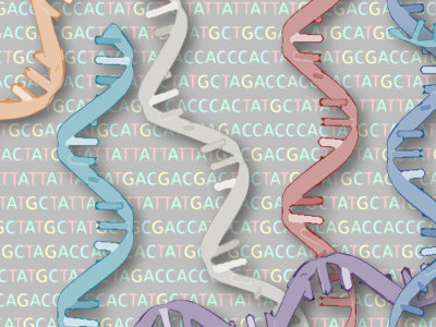 Los micro-ARNs son moléculas pequeñas de ARN no codificante con función reguladora de la expresión génica.