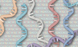Los resultados del trabajo proporcionan evidencias de la utilidad de la secuenciación del ARN como herramienta diagnóstica de enfermedades hereditarias, en un ámbito clínico, en combinación con el análisis del ADN, cuando éste último no ha proporcionado un diagnóstico.