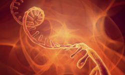 ARN mensajero del parásito de la malaria influyen en la propagación de la enfermedad.