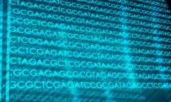 Actualización 2025 de la lista de genes recomendados por el ACMG para reportar hallazgos secundarios