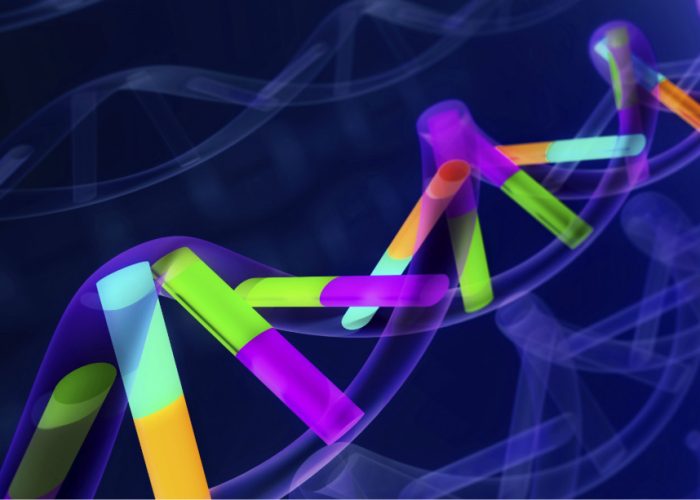 AlphaGenome amplía la capacidad de analizar el genoma humano.