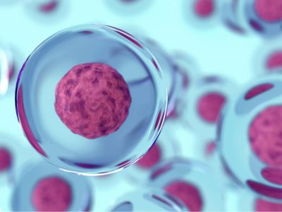 Una investigación ha demostrado que se pueden generar óvulos humanos con el número correcto de cromosomas similares a los óvulos naturales. Imagen: Adobe Express.