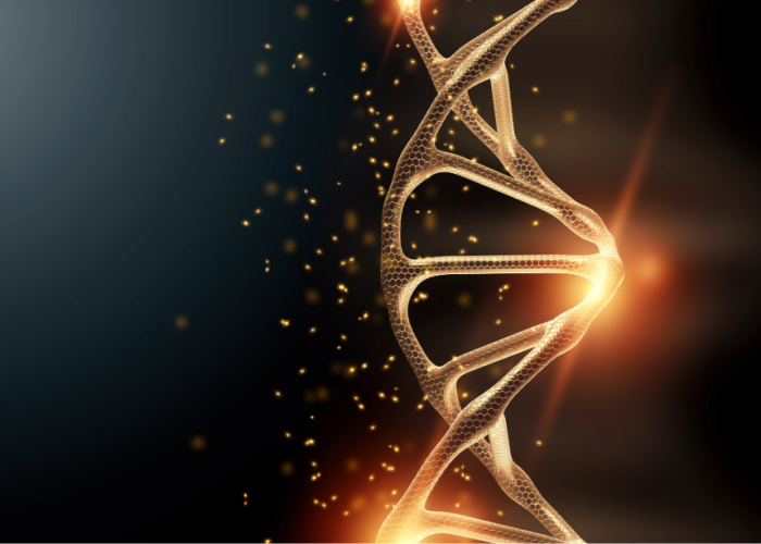 El síndrome de Noonan se debe a diversas mutaciones que afectan a genes involucrados en la vía de señalización RAS/MAPK. Imagen: Adobe Express