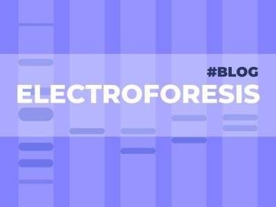 portada electroforesis