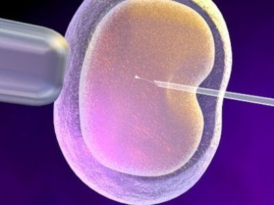 La gametogénesis in vitro se presenta como una prometedora fuente de células madre embrionarias y células germinales tanto para investigación como para diversas aplicaciones clínicas. Imagen:Blausen gallery 2014". Wikiversity Journal of Medicine. DOI:10.15347/wjm/2014.010. ISSN 20018762. - Own work, CC BY 3.0, (http://creativecommons.org/licenses/by/3.0/).
