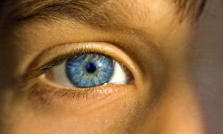Blue_Eye_Boy.jpg