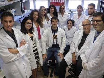 Grupo de investigación del CIBERONC coordinado por Xosé Bustelo en el Centro de Investigación del Cáncer (CIC-IBMCC, Universidad de Salamanca –CSIC). Imagen: CIBERONC.