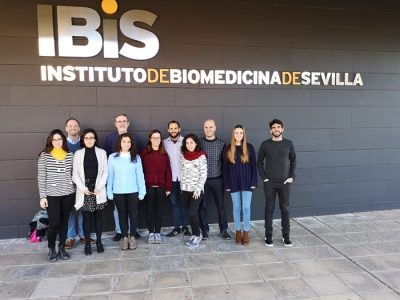Imagen del grupo liderado por Amancio Carnero, jefe de grupo del CIBERONC y del CSIC en el Instituto de Biomedicina de Sevilla (IBIS).
