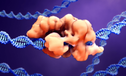El comité organizador de la cumbre ha valorado el progreso realizado en la edición del genoma en células somáticas, que ha llevado a que ya estén en marcha múltiples ensayos clínicos con herramientas como CRISPR para tratar enfermedades humanas. Imagen: Canva