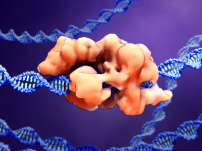 El comité organizador de la cumbre ha valorado el progreso realizado en la edición del genoma en células somáticas, que ha llevado a que ya estén en marcha múltiples ensayos clínicos con herramientas como CRISPR para tratar enfermedades humanas. Imagen: Canva