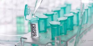 Varios ensayos evalúan el potencial de herramientas CRISPR en hemoglobinopatías