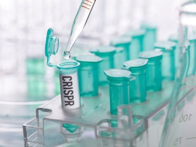 Varios ensayos evalúan el potencial de herramientas CRISPR en hemoglobinopatías