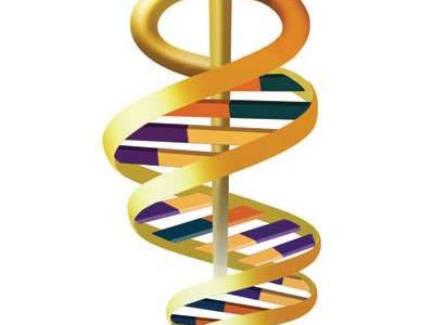 Caduceo con la doble hélice de ADN, integrando los conceptos de Medicina y Genética como una unidad. Imagen: Office of Biological and Environmental Research of the U.S. Department of Energy Office of Science. science.energy.gov/ber/