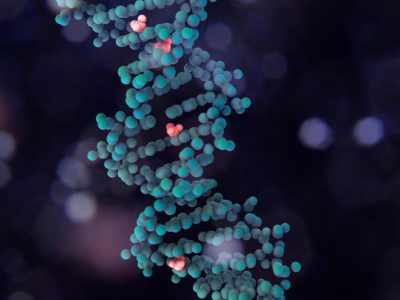 Cambios en la metilación del ADN derivan en una expresión diferencial de los genes según la placenta sea de un feto masculino o un feto femenino.