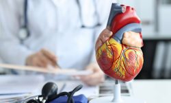 CardioKG permite identificar genes relacionados con enfermedades cardiacas, así como fármacos ya aprobados que podrían reposicionarse para el tratamiento de estas enfermedades.