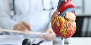 CardioKG permite identificar genes relacionados con enfermedades cardiacas, así como fármacos ya aprobados que podrían reposicionarse para el tratamiento de estas enfermedades.