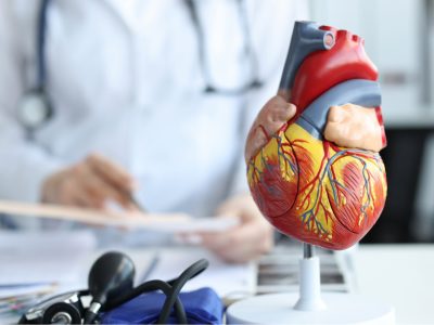 CardioKG permite identificar genes relacionados con enfermedades cardiacas, así como fármacos ya aprobados que podrían reposicionarse para el tratamiento de estas enfermedades.